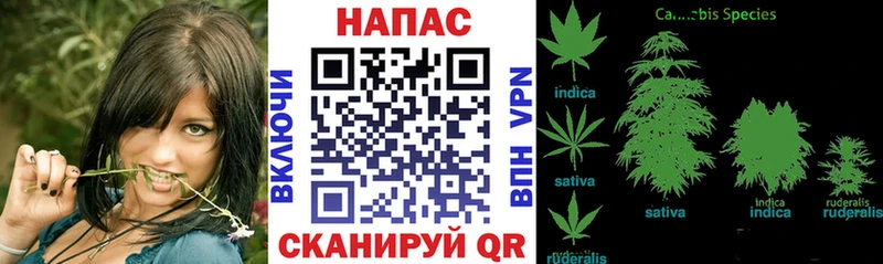  КОКАИН Джанкой