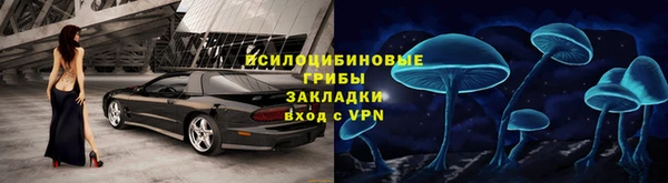 дживик Медвежьегорск