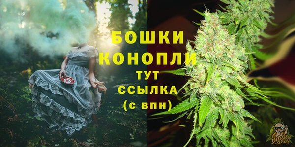 твердый Мегион