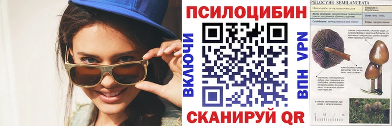 где купить наркоту  Джанкой  Галлюциногенные грибы ЛСД 