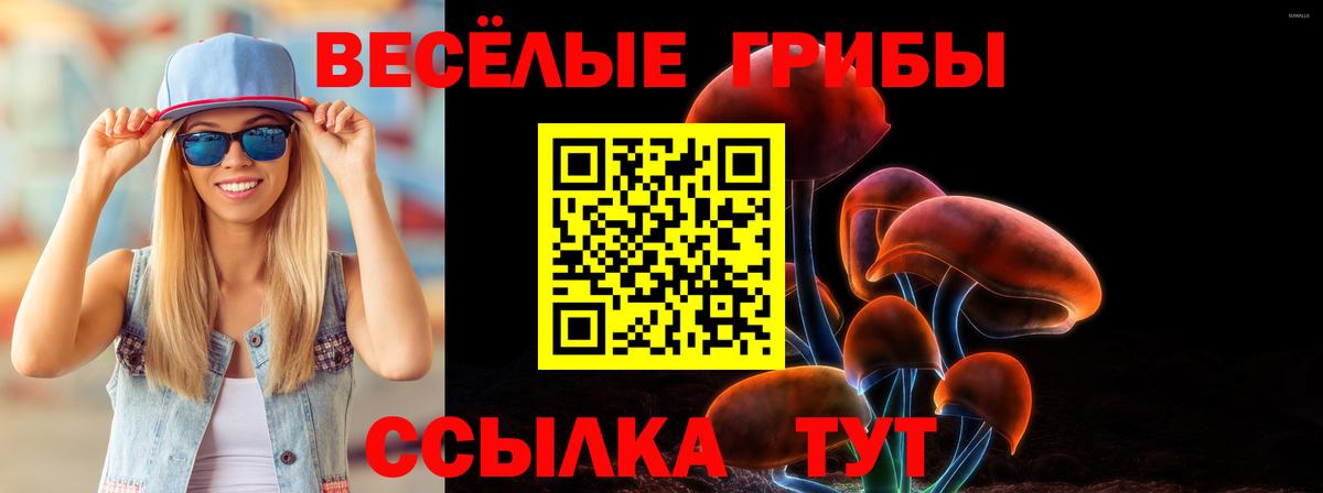 Галлюциногенные грибы Magic Shrooms  Вход с VPN  Галлюциногенные грибы Magic Shrooms  Джанкой 