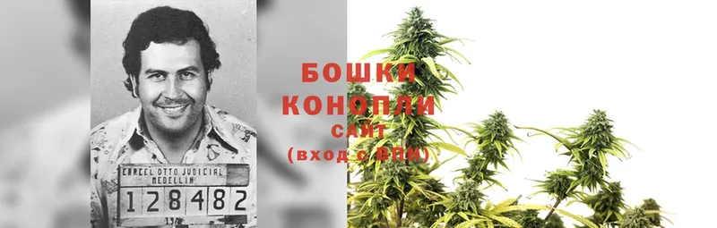 площадка телеграм  Джанкой  Конопля SATIVA & INDICA 